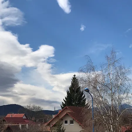 호텔 William's 브라쇼브