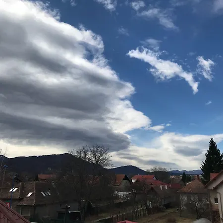 William's 酒店 布拉索夫