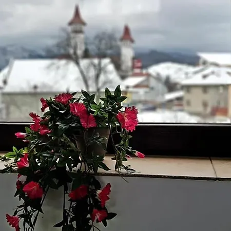 William's 3* 브라쇼브