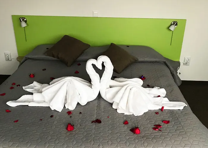 ホテル William's ブラショフ