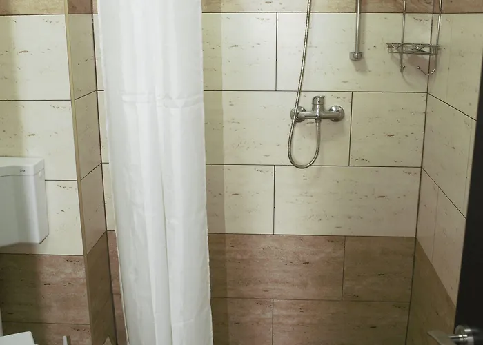 William's ホテル 3*