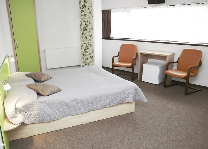 William's Hotel Braşov