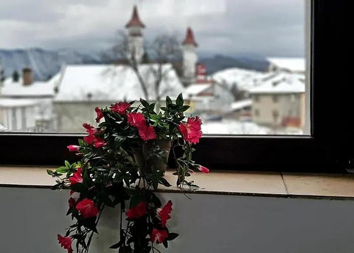 William's 3* Braşov